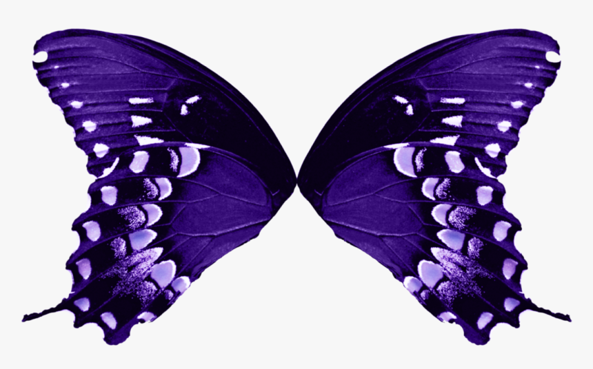 Transparent Wings Png - Butterfly Wings Transparent Background, Png Download, Free Download