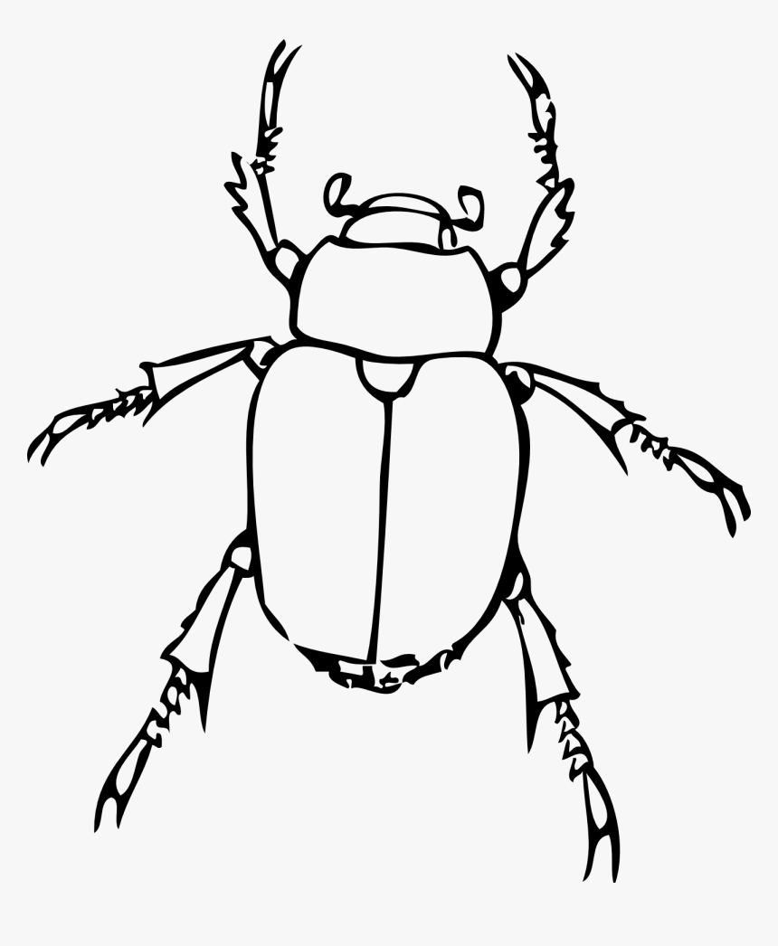 Insect Black And White Images Image Png Clipart - Insect Clipart Black And White, Transparent Png, Free Download