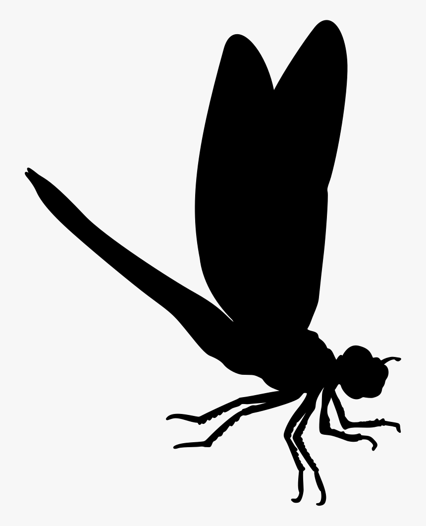 Flies Clipart Insect Wing - Insects Silhouette Png, Transparent Png, Free Download