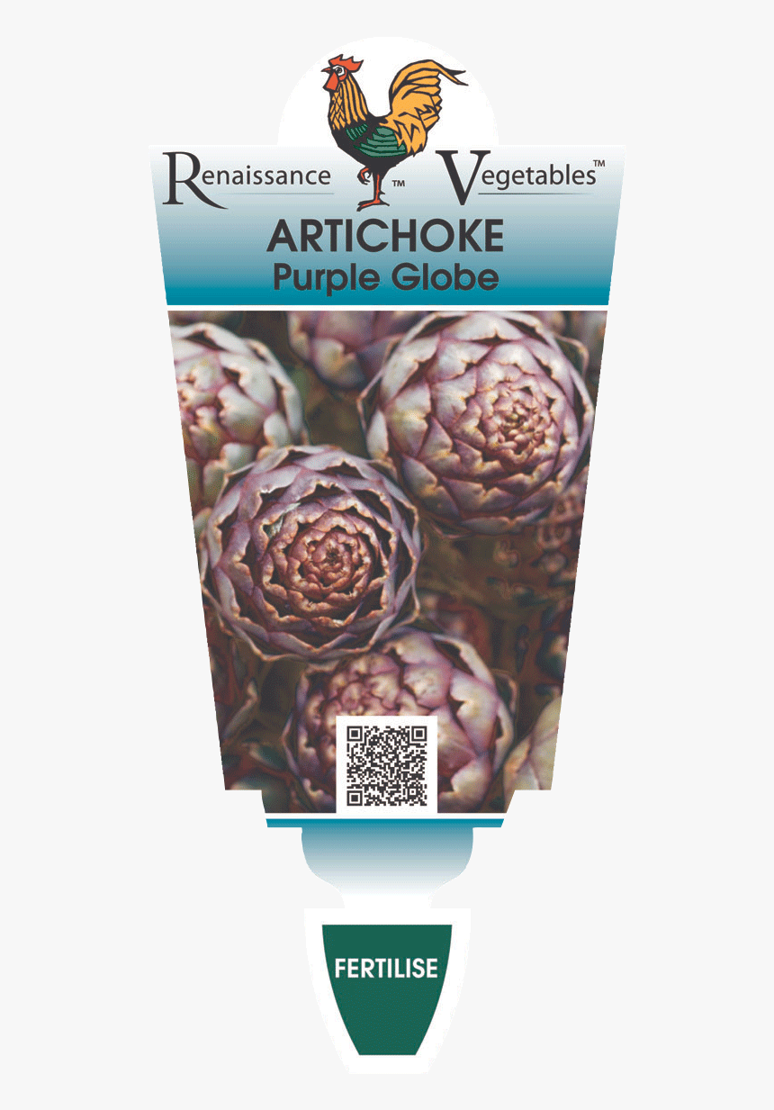 Artichoke Purple Globe - Artichoke, HD Png Download, Free Download