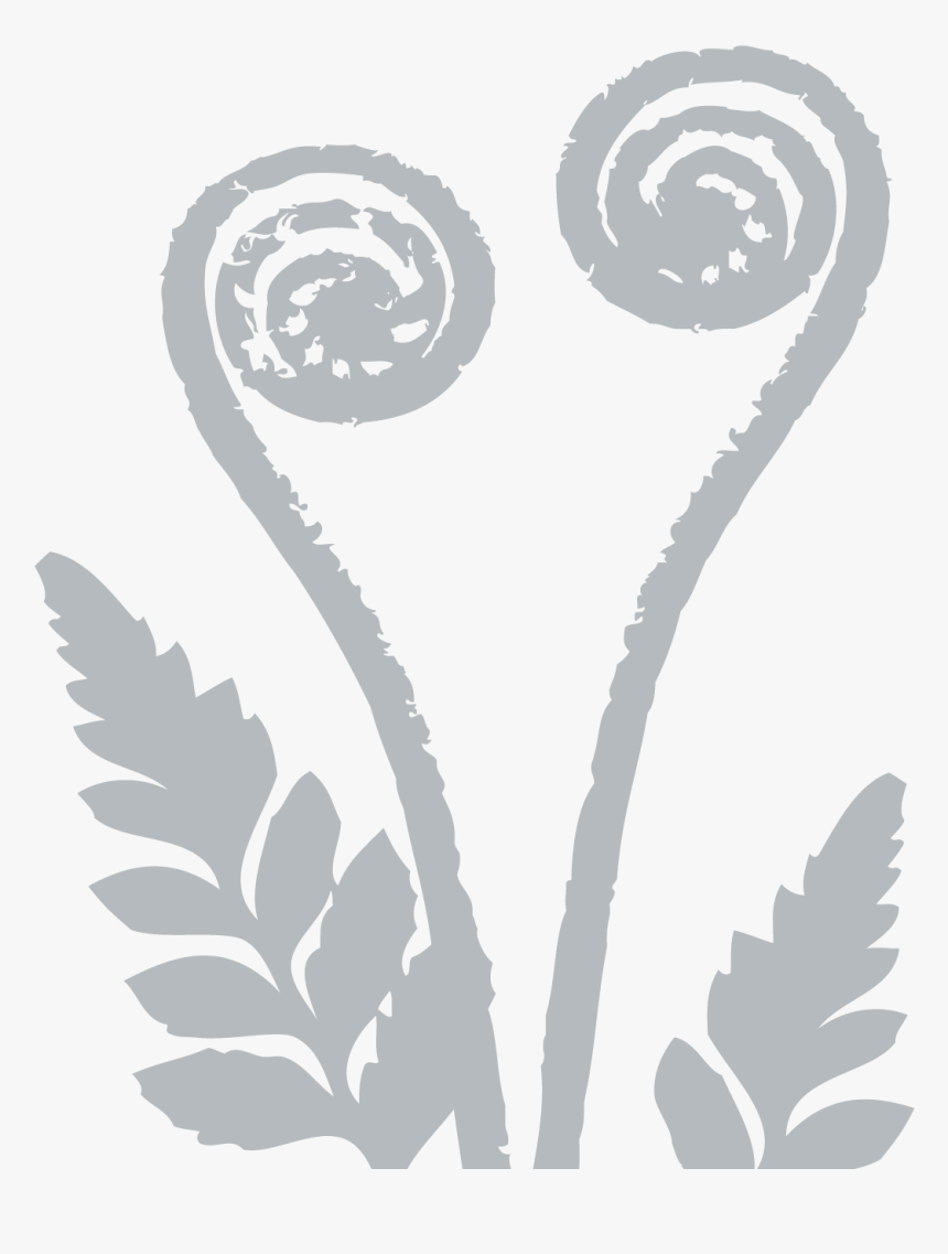 Transparent Ferns Png - Silver Fern Png, Png Download, Free Download