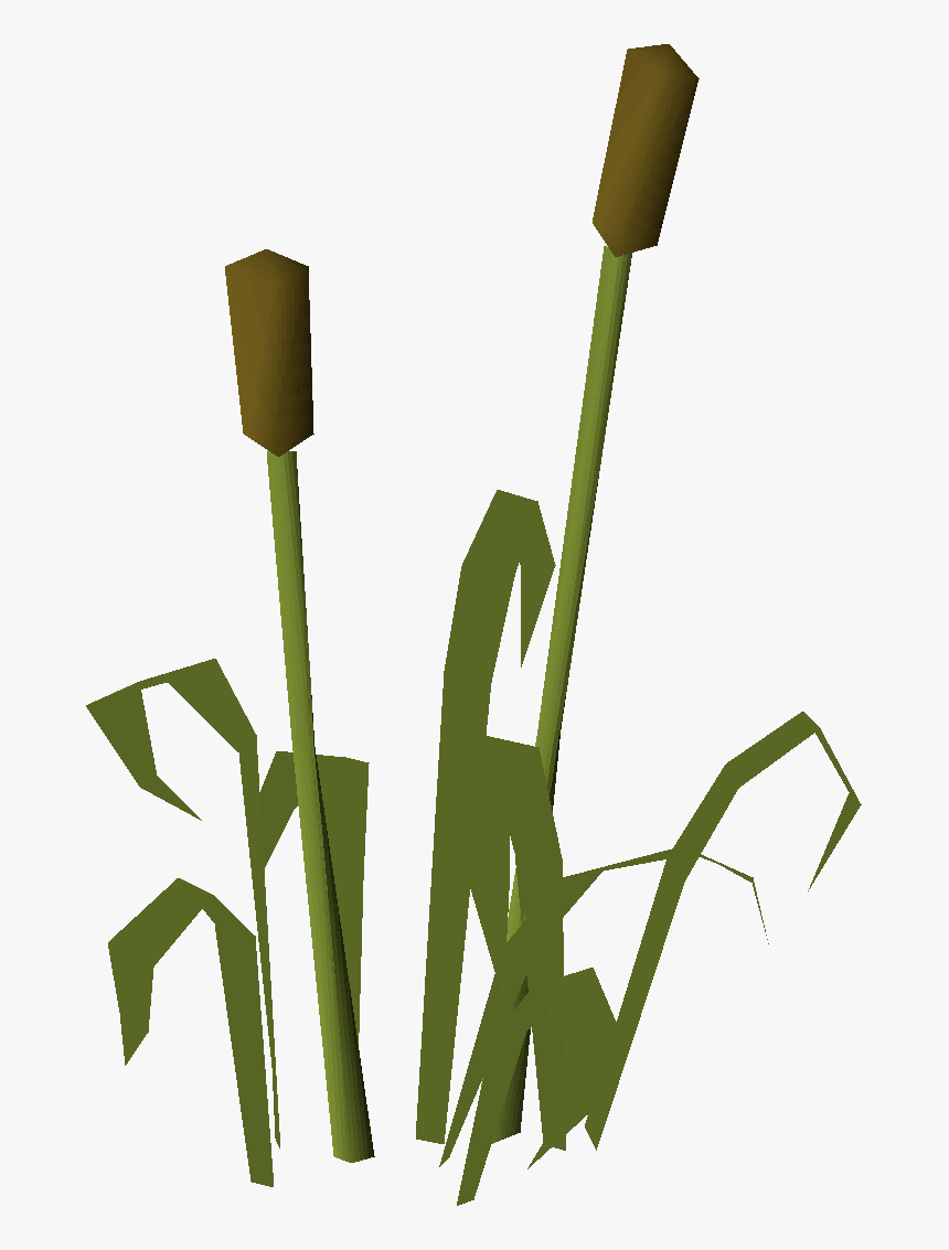 Osrs Reed, HD Png Download, Free Download