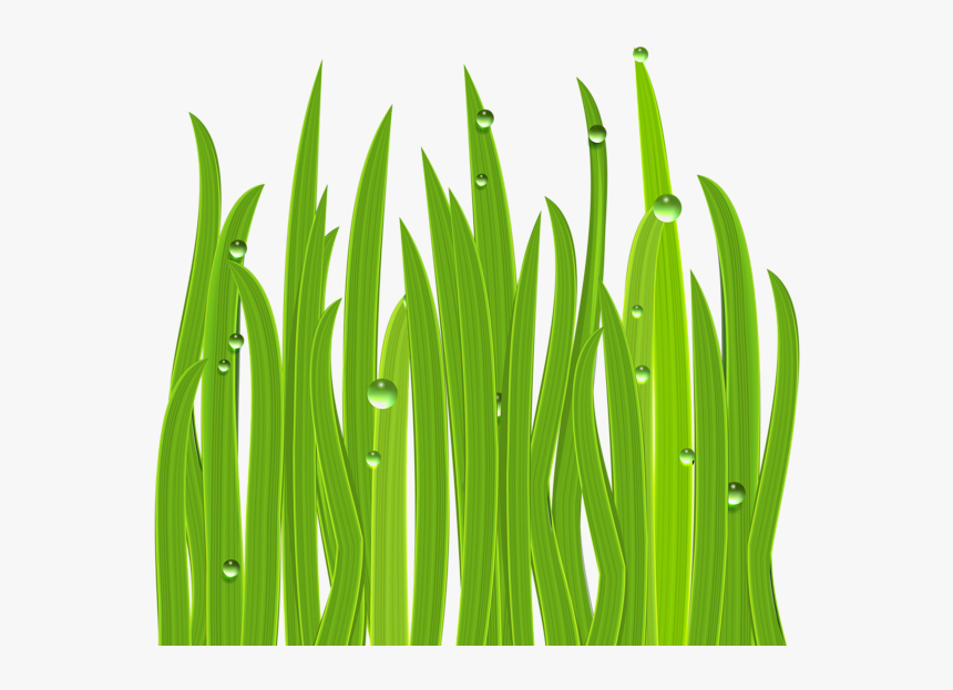 Grass Decor Png Image - การ ตู น หญ้า, Transparent Png, Free Download