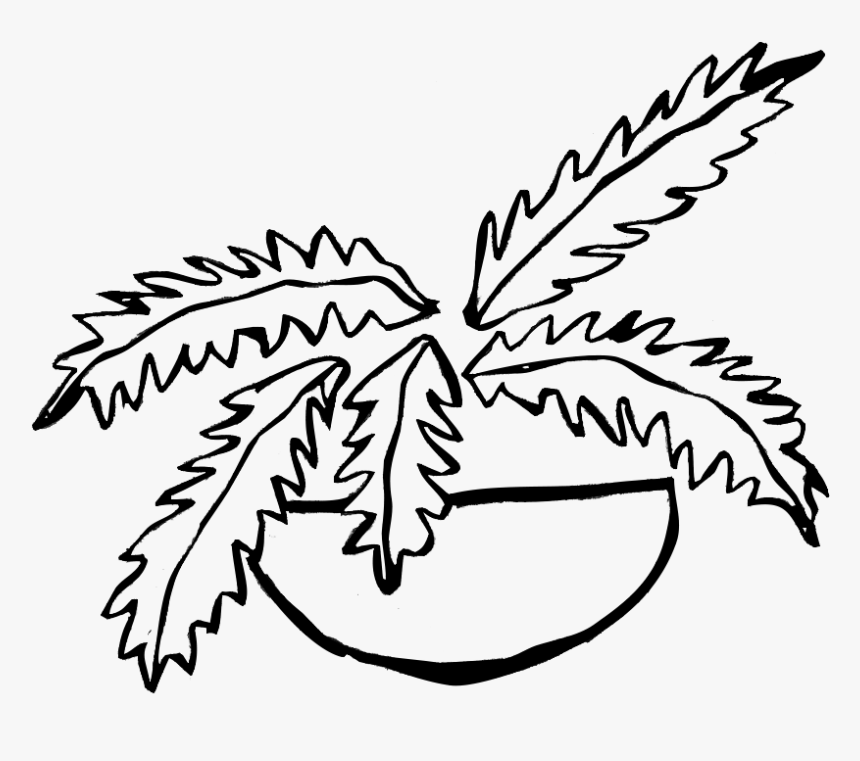 Transparent Fern Png, Png Download, Free Download