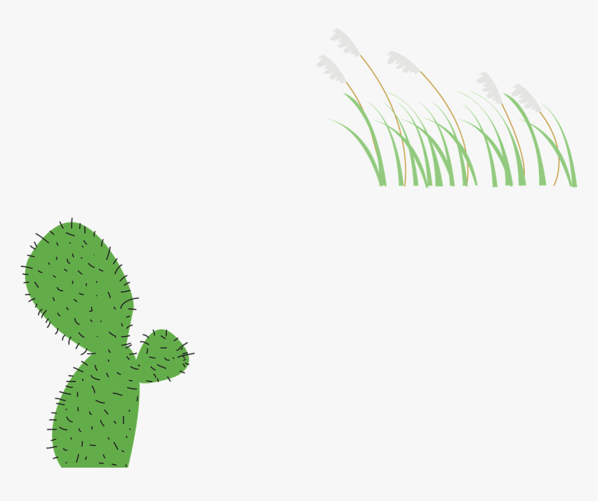Plant Cactus Reed Free Picture - ต้น กระบองเพชร Png, Transparent Png, Free Download