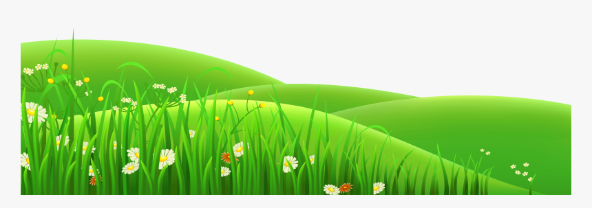 Transparent Grass Background Png - Green Grass Clipart Png, Png Download, Free Download