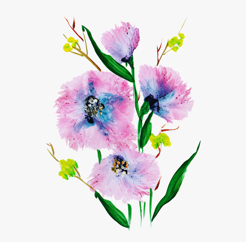 Gilliflower, HD Png Download, Free Download