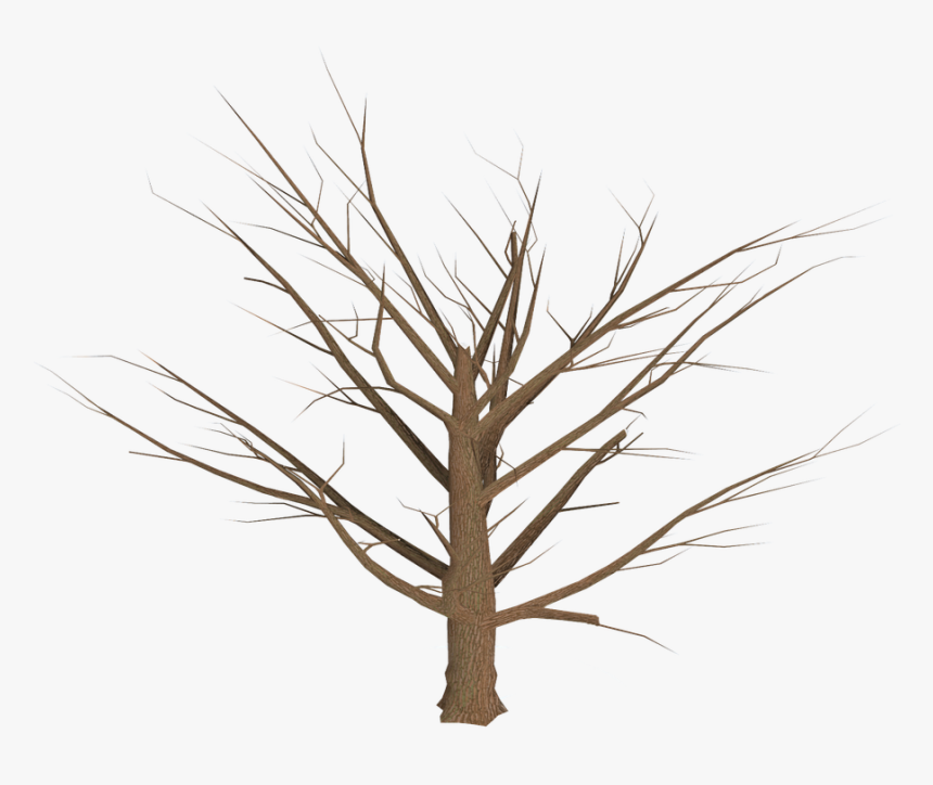 Tree, Png, Isolated, Dead Plant, Weathered, Old, Morsch - Pixel Dead Tree Png, Transparent Png, Free Download