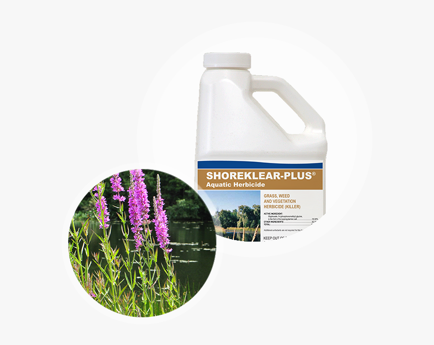 Shoreklear-plus Aquatic Herbicide Container Next To - Red Clover, HD Png Download, Free Download