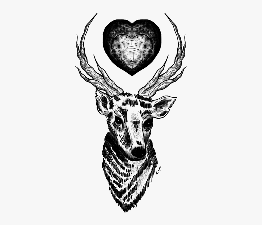 Deer, Draw, And Louis Image - Louis Tomlinson Tattoos Sticker, HD Png Download, Free Download