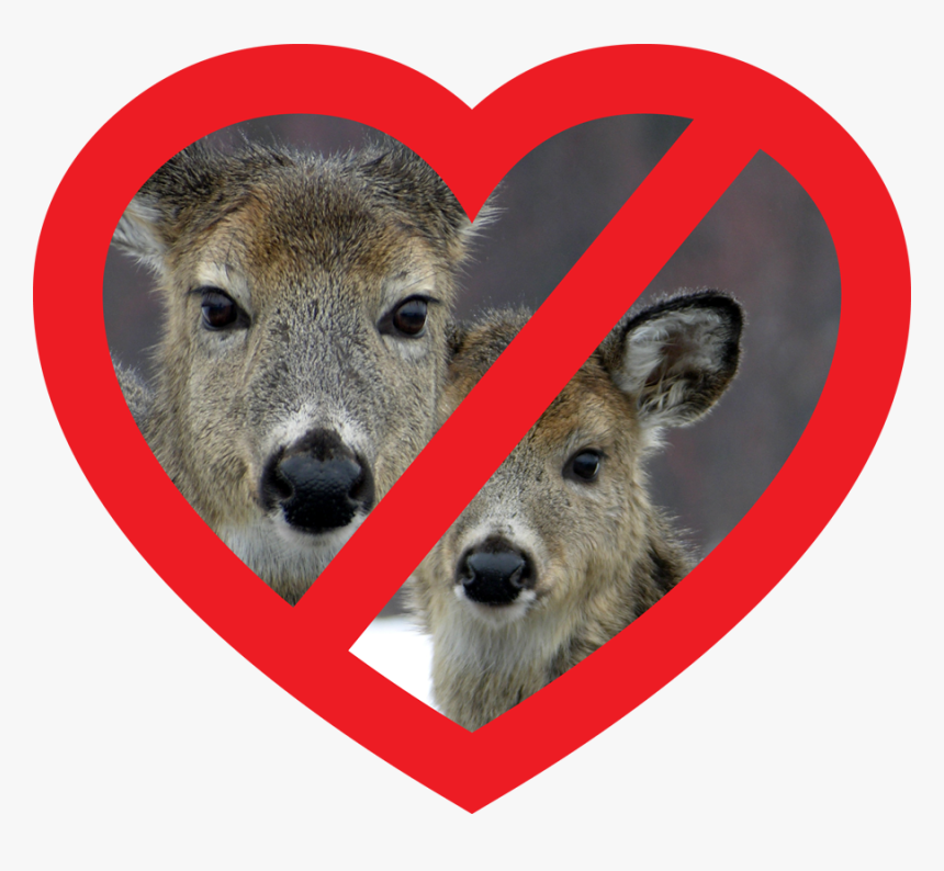 Deer Heart - Love, HD Png Download, Free Download