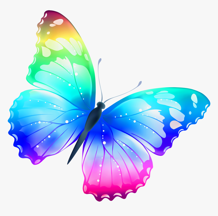 Colorful Butterfly Png Vector - Mariposas De Colores Brillantes, Transparent Png, Free Download
