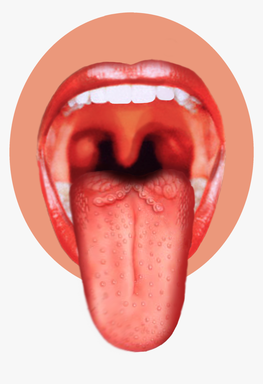 Tongue Png - Human Tongue Png, Transparent Png, Free Download
