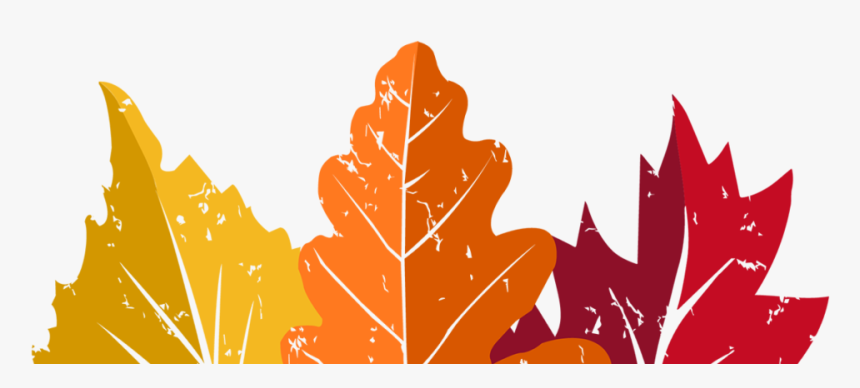 Maple Leaf, HD Png Download, Free Download