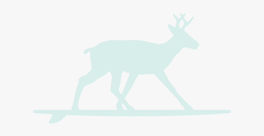Surfing Deer Seafoam Deer - Deer On 30a In Florida, HD Png Download, Free Download