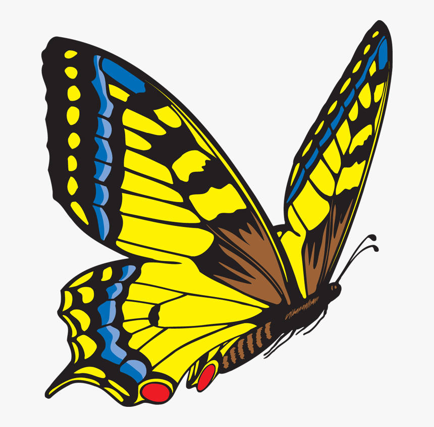 Butterfly Clipart Free Images - Flying Butterfly Clip Art, HD Png Download, Free Download