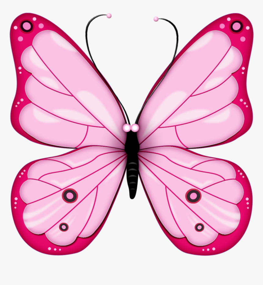 Pink Butterfly Png Image, Butterflies - Clip Art Of Butterfly, Transparent Png, Free Download