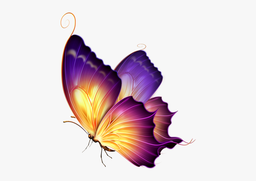 Butterfly Clipart Png Image Free Download Searchpng - Butterfly Png For Editing, Transparent Png, Free Download