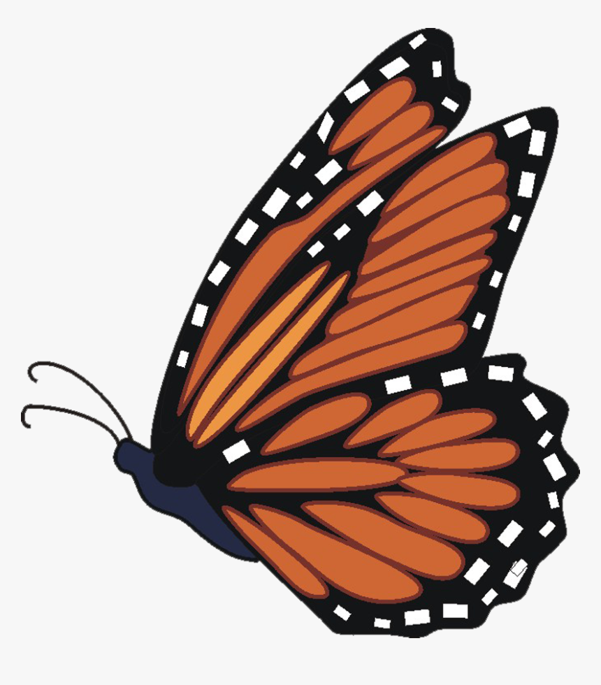 Monarch Butterfly Clipart - Flying Monarch Butterfly Clipart, HD Png Download, Free Download