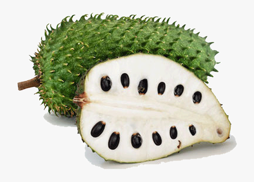 Soursop Png, Transparent Png, Free Download