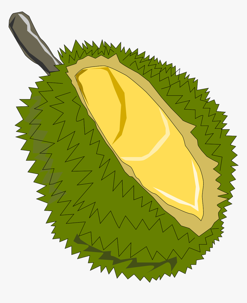 Jack Fruit Clipart, HD Png Download, Free Download