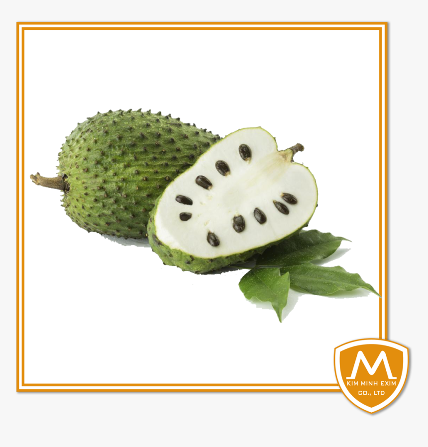 Soursop-graviola - Guyabano Fruits, HD Png Download, Free Download