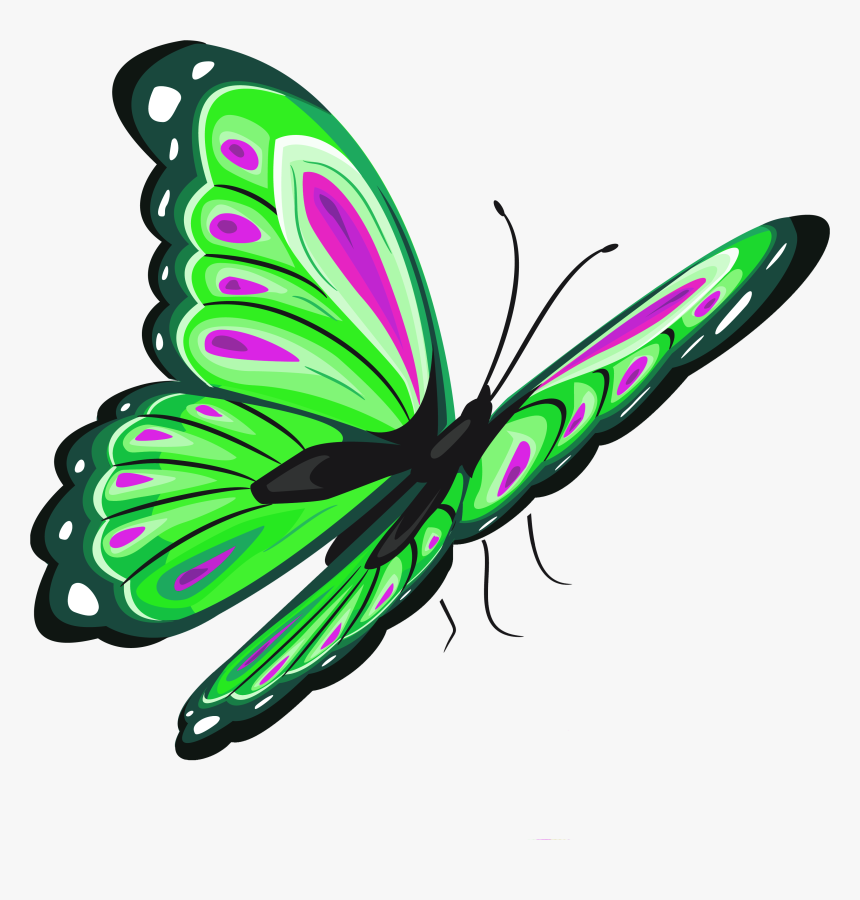 Butterfly Clip Art - Transparent Butterfly Clipart, HD Png Download, Free Download