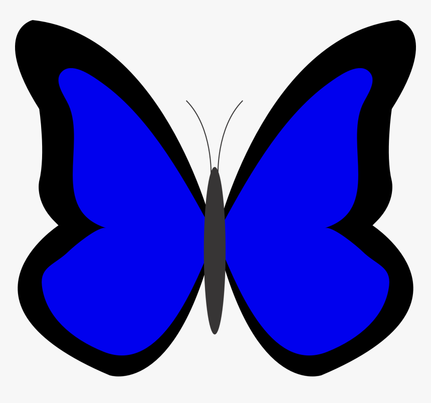 Blue Panda Free Images - Butterfly Images In Blue Colour, HD Png Download, Free Download