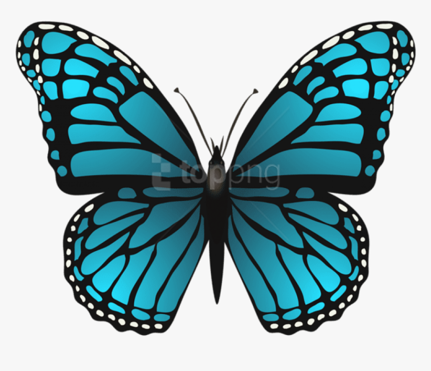 Butterfly Cliparts Png Turquoise - Blue Butterfly Clip Art, Transparent Png, Free Download