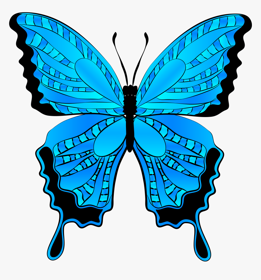 Free Butterfly Clip Art Graphics Free Clipart Images - Blue Butterfly Clip Art Butterfly, HD Png Download, Free Download