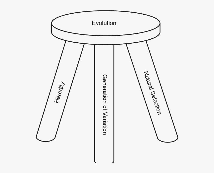 Evolution"s Three Legged Stool - Parallel, HD Png Download, Free Download