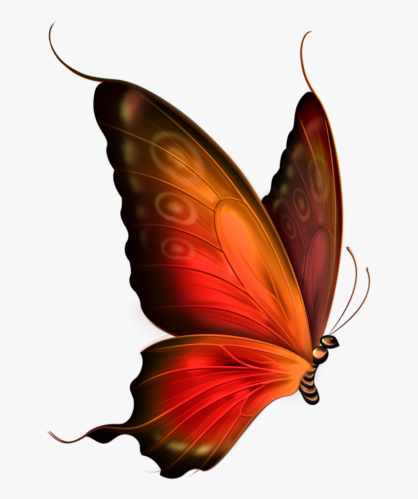 Red And Brown Transparent Butterfly Clipart - Transparent Background Butterfly Gif, HD Png Download, Free Download