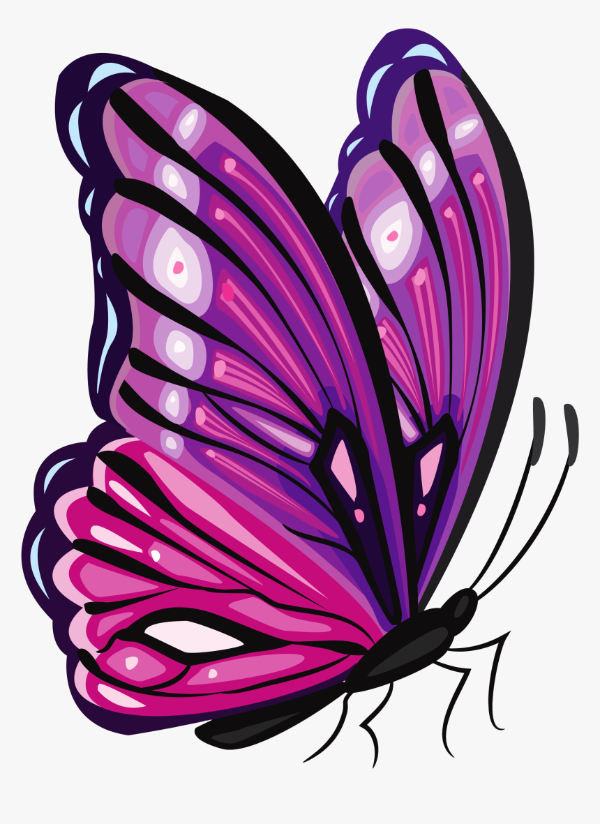 Purple Butterfly Png Clipart, Transparent Png, Free Download