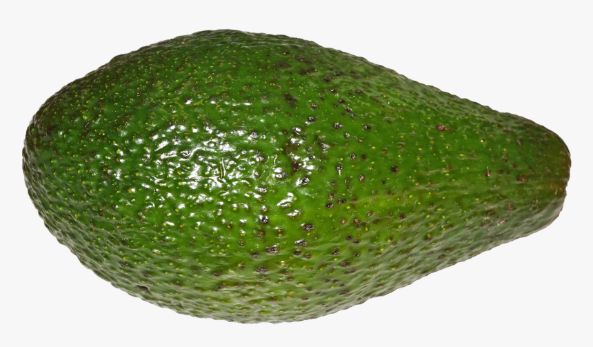 File - Avocado - Avocado Png, Transparent Png, Free Download