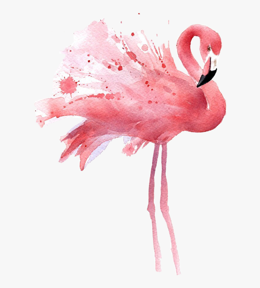 #flamingo #watercolor #freetoedit - Clip Art Transparent Background Flamingo, HD Png Download, Free Download