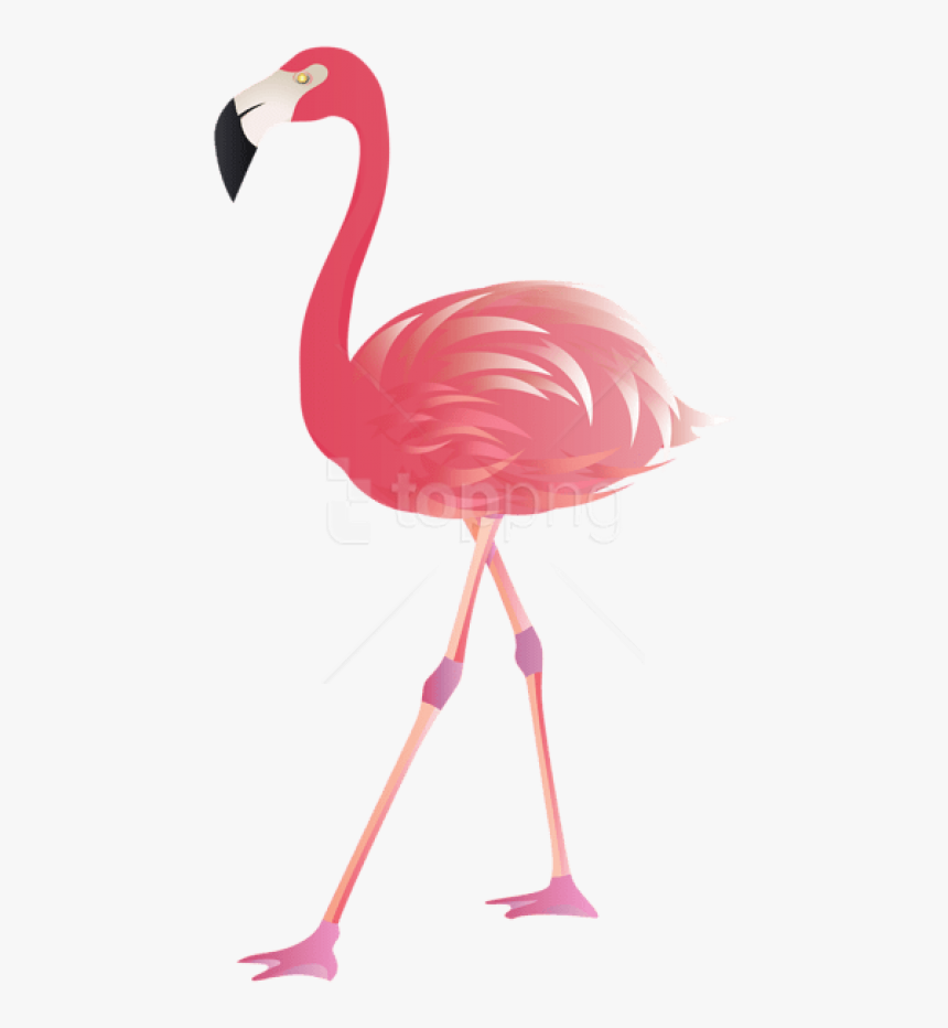 Pink Flamingo Png - Flamingo Clipart Png, Transparent Png, Free Download