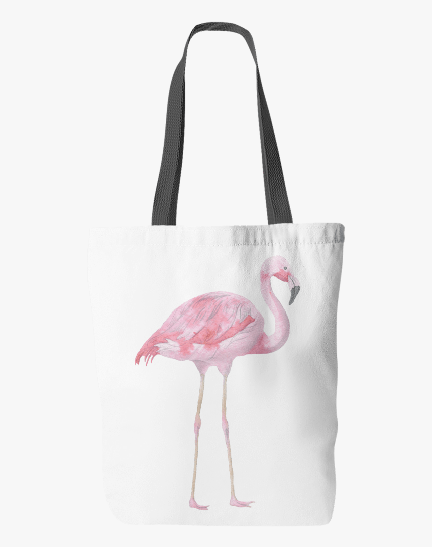 Greater Flamingo, HD Png Download, Free Download