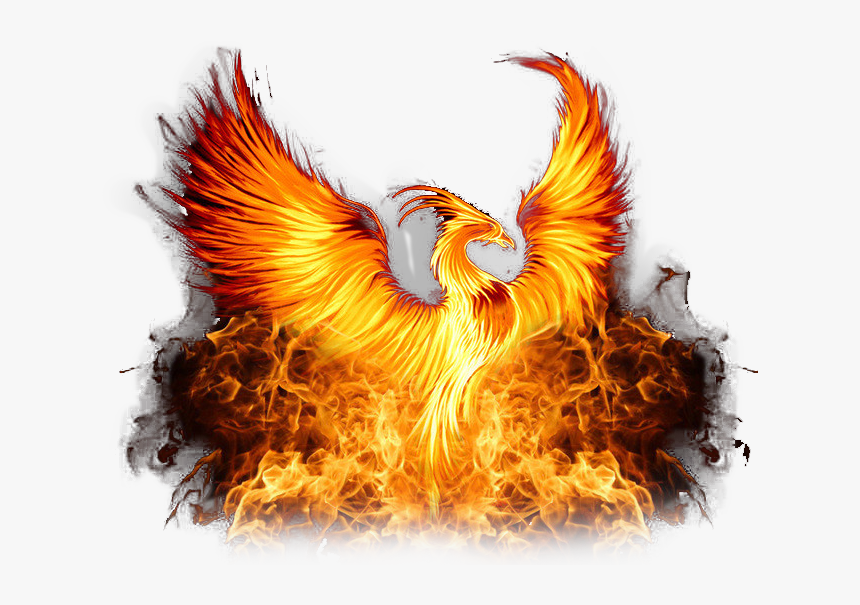 Phoenix Png, Transparent Png, Free Download