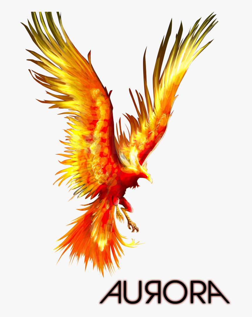 Phoenix Bird Image Png - Fire Phoenix Bird Png, Transparent Png, Free Download