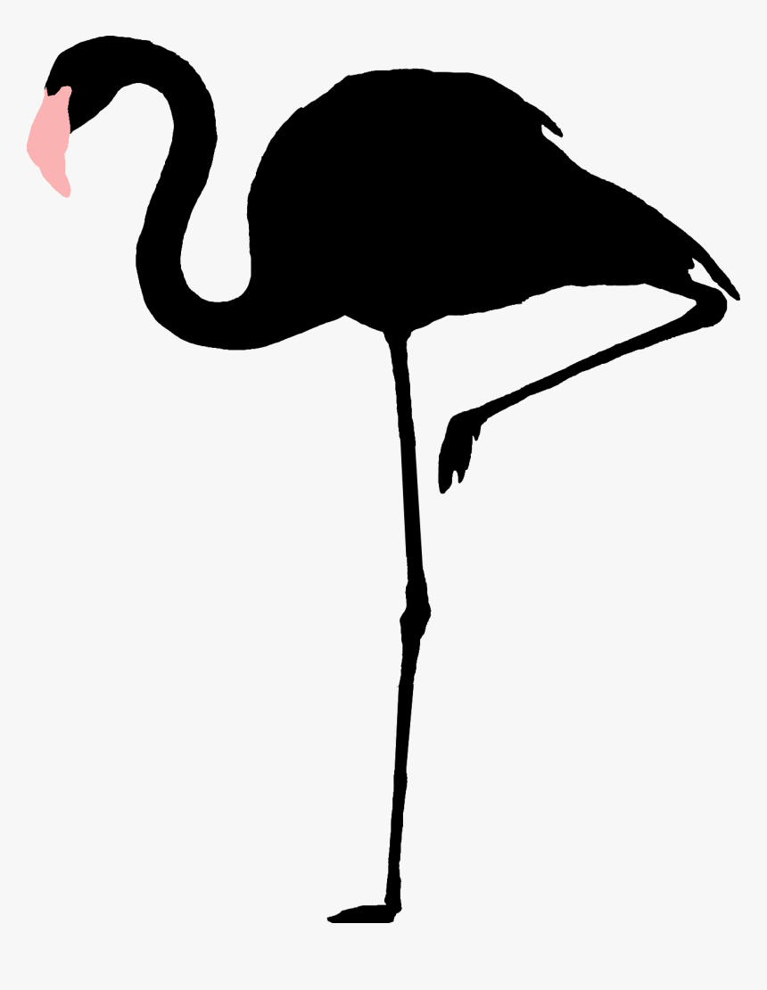 Flamingo Drawing Animation For Free Download - Green Flamingo Png Transparent, Png Download, Free Download