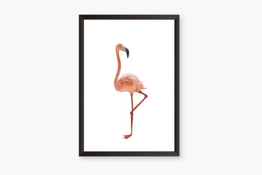 Greater Flamingo, HD Png Download, Free Download