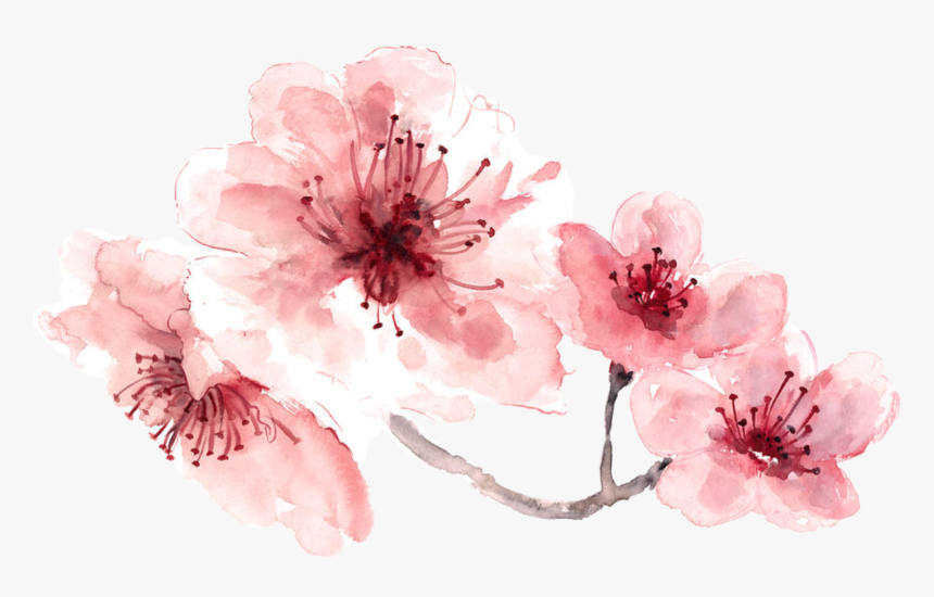 15 Pink Watercolor Flowers Png For Free Download On - Jumma Mubarak To Loved Ones, Transparent Png, Free Download