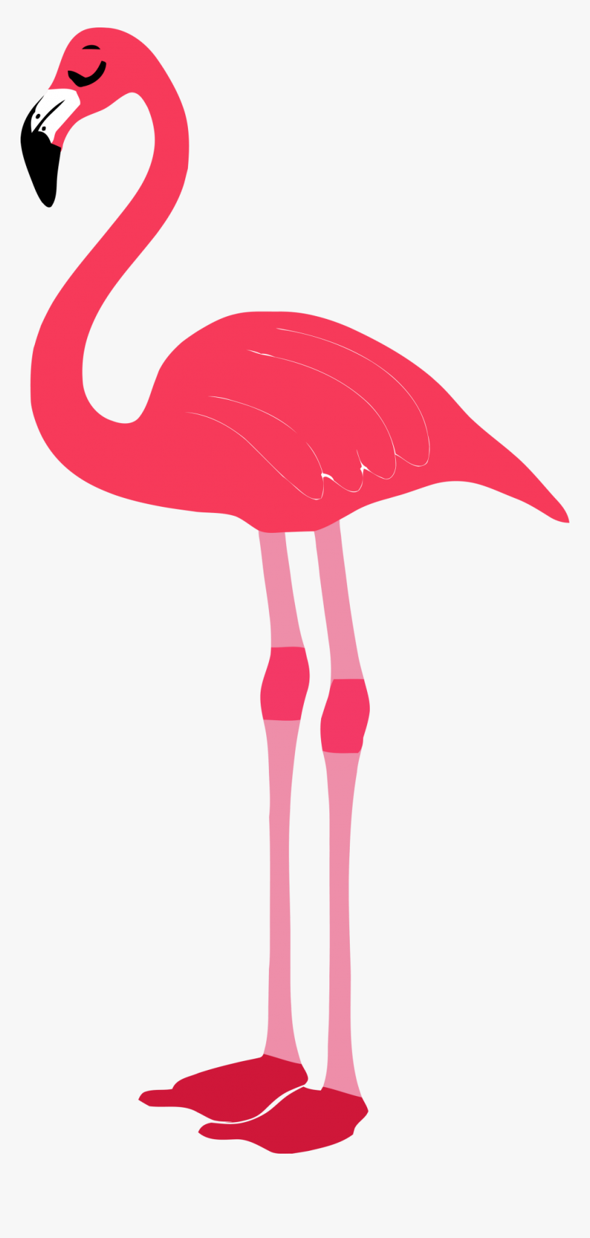 Clipart Flamingo, HD Png Download, Free Download