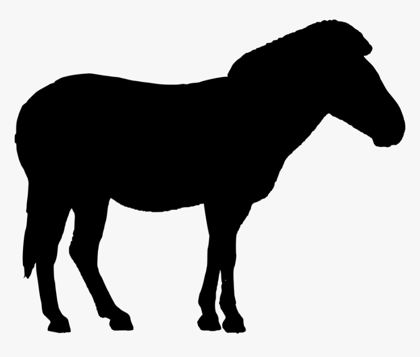 Donkey, Animal, Silhouette, Farm - Farm Animals Silhouette Png, Transparent Png, Free Download