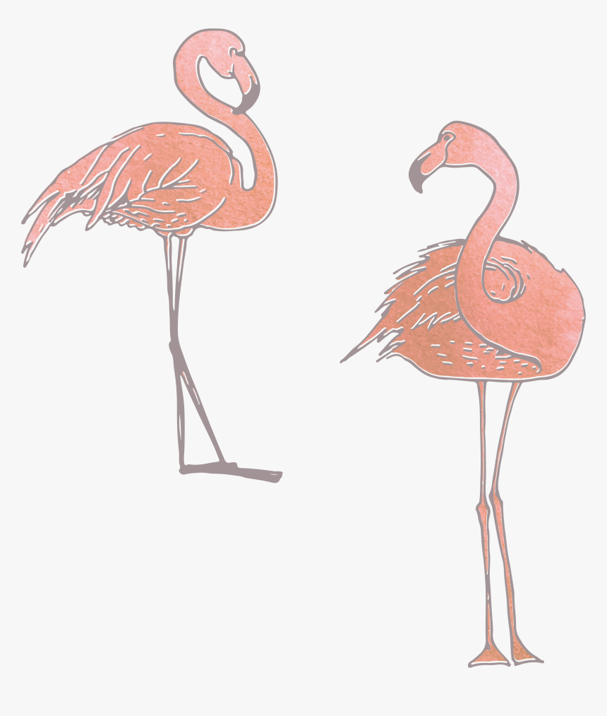 Collection Of Free Flamingo Vector Skeleton - Clip Art, HD Png Download, Free Download