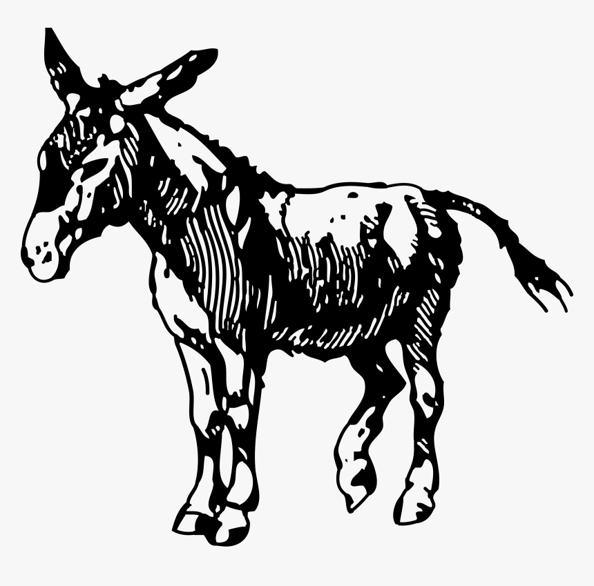 Donkey Clipart Silhouette - Free Donkey Clip Art Black And White, HD Png Download, Free Download