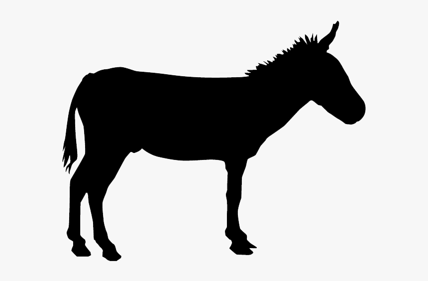 Donkey Silhouette Drawing - Silhouette Of Donkey, HD Png Download, Free Download