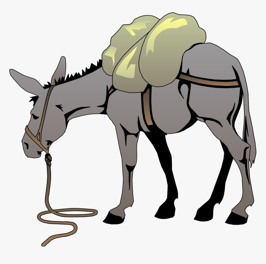 Donkey Images Transparent Image Clipart - Donkey Clip Art, HD Png Download, Free Download