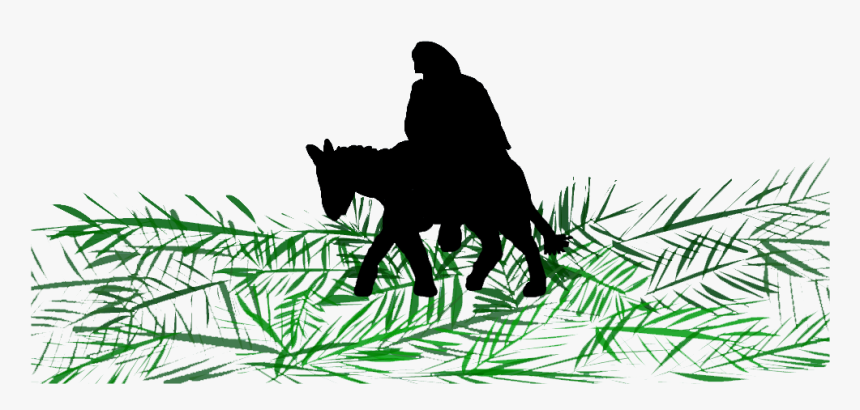 Palm Sunday Png Jesus On Donkey - Jesus On A Donkey Silhouette, Transparent Png, Free Download