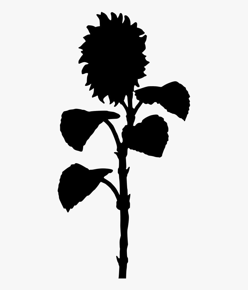 Sunflower Silhouette Png - Flower Silhouette Sunflower, Transparent Png, Free Download